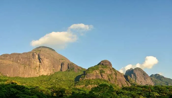 Agasthyakoodam Trek Path